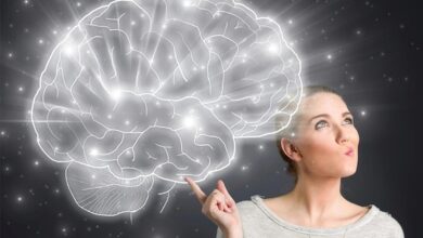 چند تغذیه مهم برای تقویت مغز