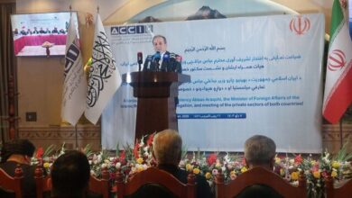 عراقچی: حجم روابط اقتصادی ایران و افغانستان چندین برابر شده است
