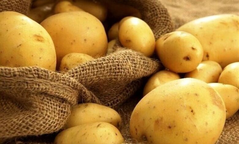 با احتکارکنندگان سیب زمینی در اردبیل برخورد می شود
