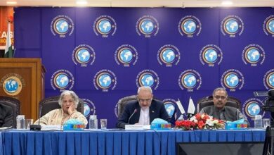 هم افزایی با همسایگان راهبرد اصلی و نقشه راه دولت چهاردهم است
