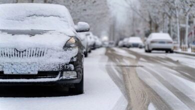 هواشناسی کشور 11 اسفند ؛ برف و باران در اردبیل و استان‌های شمالی