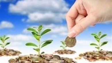 توسعه گلخانه‌ها از اولویت‌های جهاد کشاورزی است