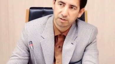 حبیب احمدی بعنوان عضو هیات مدیره خانه مطبوعات کشور انتخاب شد
