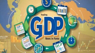 شاخص PMI و شاخص GDP در بازار فارکس چیست