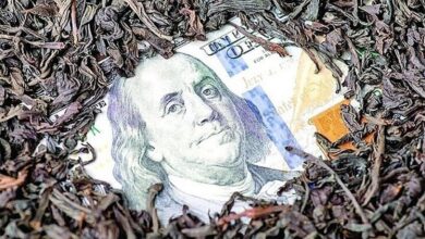 پرونده چای دبش؛ با دلار‌ها در دبی و اسپانیا برج و ویلا خریدند!