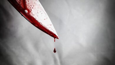 قتل فجیع مدیرعامل با ۶ ضربه چاقو؛ دستگیری قاتل