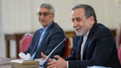 عراقچی: تحرک فعال و مبتکرانه برای گرهگشایی از مسائل و مشکلات کشور، با قوت تداوم یابد