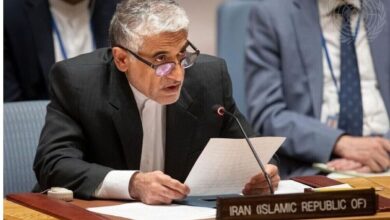 ایروانی: نشست غیرعلنی شورای امنیت مداخله در روند تعامل تهران با آژانس است