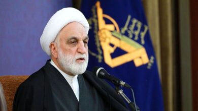پاسخ اژه ای به برخی حواشی پیرامون پرونده چای دبش