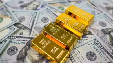 توقیف حساب ۵۰۰ نفر مظنون به پولشویی بازار ارز و طلا