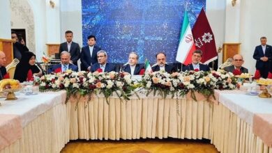 عراقچی:دیپلماسی استانی احیاگر تعاملات دیپلماتیک مرزی است