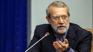 لاریجانی: دل مشغولی سیدحسن نصرالله کل بشریت بود