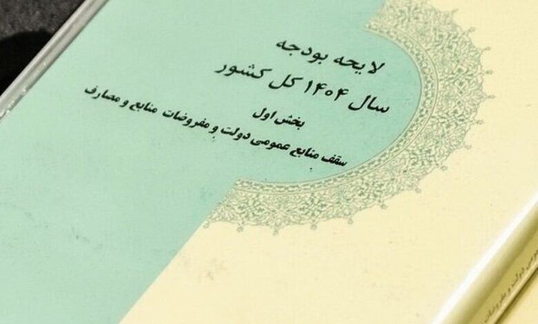 آغاز بررسی جداول بودجه ۱۴۰۴ در مجلس