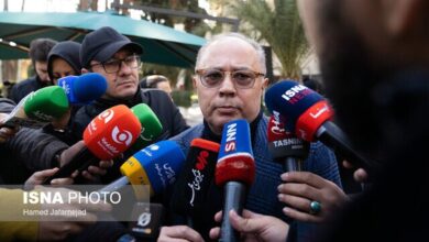 دبیری: امیدواریم استیضاح رای نیاورد؛ خبر اهدای هدیه به نمایندگان مجلس صحت ندارد