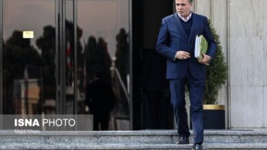 نوری قزلجه: صادرات سیب زمینی به تازگی ممنوع شده است