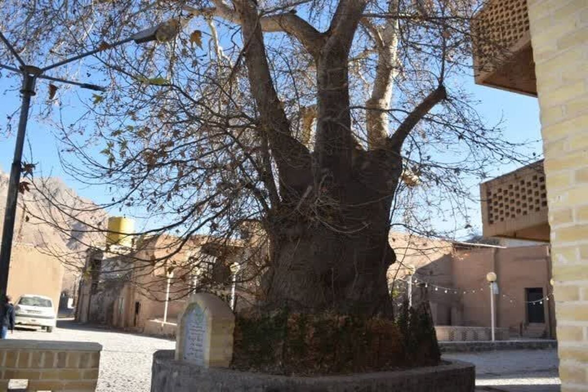 کهنسال روستای طزرجان شهرستان تفت ثبت ملی شد