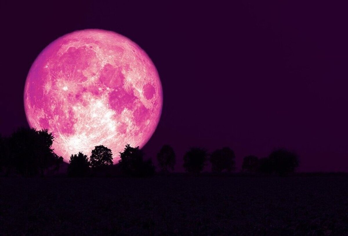 ماه صورتی در آسمان امشب را ببینید