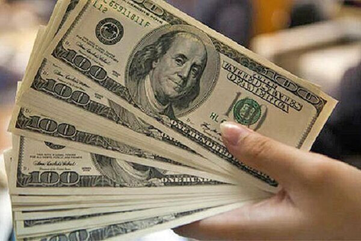 پیش بینی قیمت دلار ۷ خرداد ۱۴۰۳ بازار ارز به کما رفت