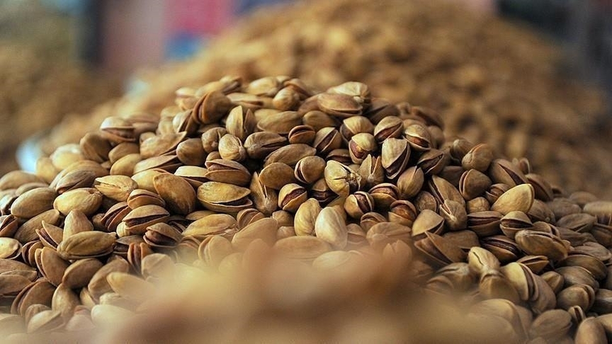 رشد ۱۷ درصدی صادرات پسته ایران به اروپا از ابتدای ۲۰۲۴