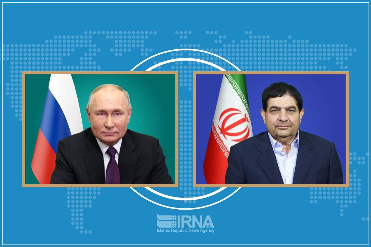 دیدار و گفتگوی مخبر با پوتین
