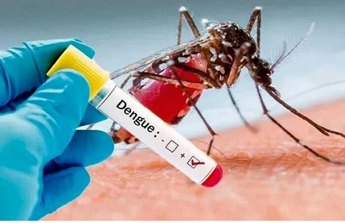 شیوع تب دانگ در کشور ؛ مسافران به دبی یا امارات مراقبت کنند