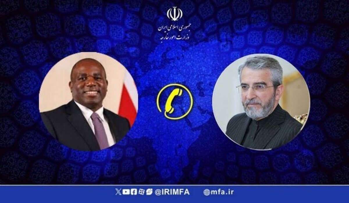 باقری: هیچ کشوری در قبال صیانت از امنیت و حاکمیت ملی خود مماشات نمیکند