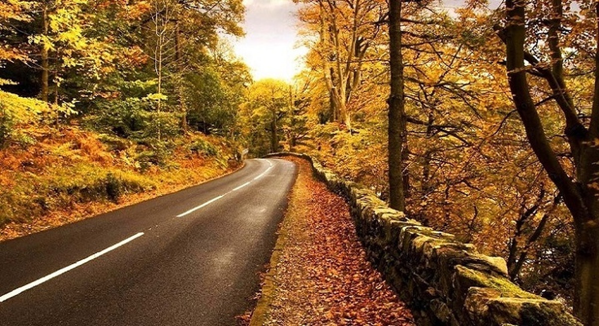 تفال به حافظ یکشنبه ۱۳ آبان ۱۴۰۳