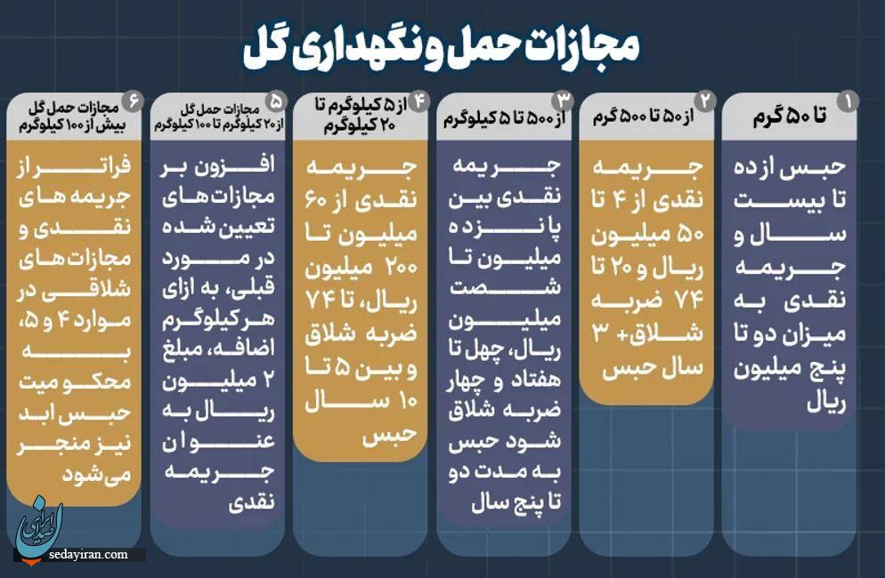 مجازات حمل مواد مخدر گل چیست؟ + مجازات کاشت و پرورش ماری جوانا مجازات حمل مواد مخدر گل چیست؟ + مجازات کاشت و پرورش ماری جوانا