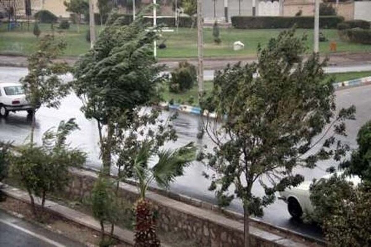 ۱۰ آذر ۱۴۰۳ : بارش باران و کاهش نسبی دما در نوار شمالی کشور