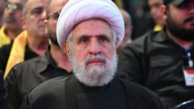 شیخ نعیم قاسم: ما در حزبالله در کنار سوریه خواهیم ایستاد تا این تهاجم را خنثی کنیم