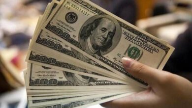 پیش بینی قیمت دلار ۱۷ آذر ۱۴۰۳