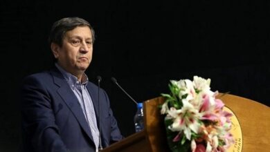 هشدار وزیر اقتصاد درباره نوسانات ارز دیجیتال