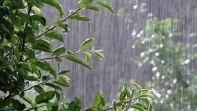هشدار هواشناسی نسبت به بارش برف و باران در 22 استان کشور