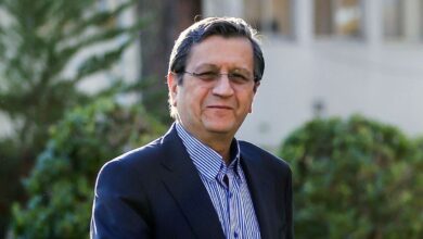 وزیر اقتصاد: اصلاح اقتصاد نیاز به زمان دارد