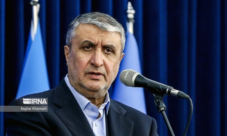 اسلامی: مانعی برای نظارتهای آژانس ایجاد نکرده و نمیکنیم