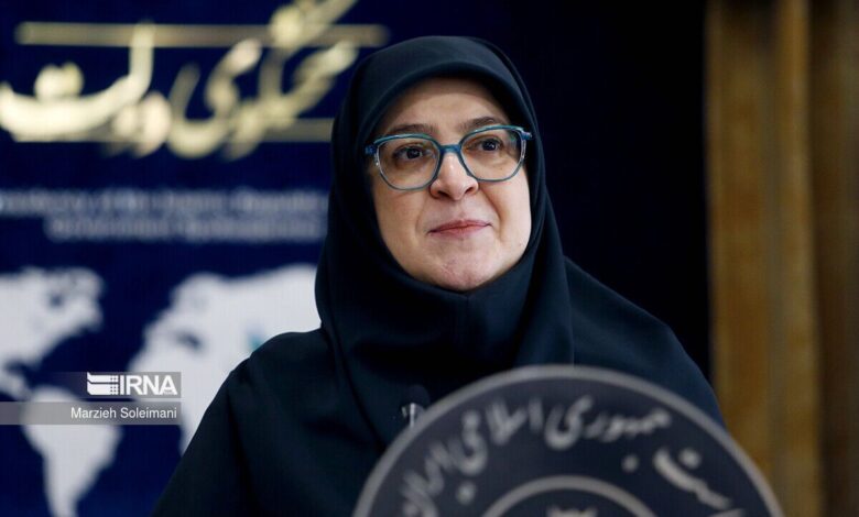 سخنگوی دولت: مردم حساب شهدا را از نقدها و بازیهای سیاسی جدا کردهاند