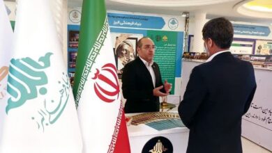 ارشدی: نخبگان ایرانی داخل و خارج کشور حمایت میشوند