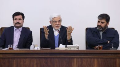 عارف: باید تلاش شود جمعیت روستایی کاهش پیدا نکند