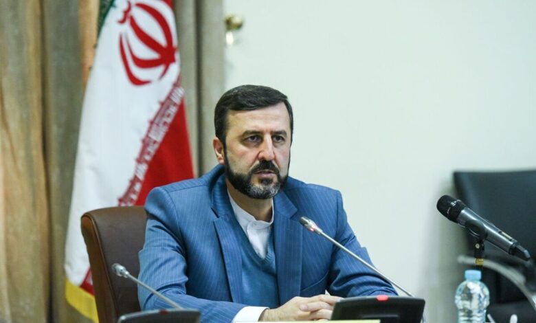 غریبآبادی: نیت خوانی از وظایف مدیرکل آژانس نیست