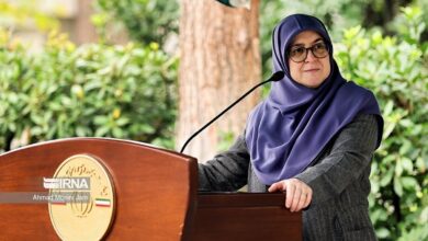 مهاجرانی: دولت برای رفع ناترازی‌های انرژی برنامه‌های جدی دارد