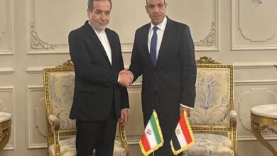 دیدار عراقچی با وزیر خارجه مصر در حاشیه نشست دی ۸