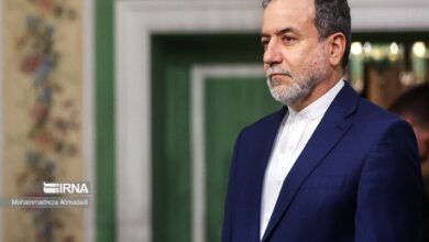 عراقچی: ایران و مصر دارای هویت و فرهنگی مشترک هستند
