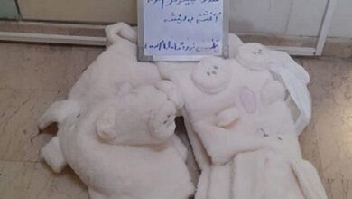 کشف ۵ کیلو شیشه در فرودگاه حضرت امام (ره)