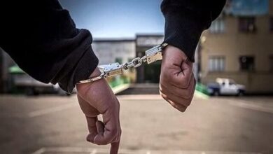درگیری اراذل و اوباش در روز طبیعت؛ دستگیری متهمان