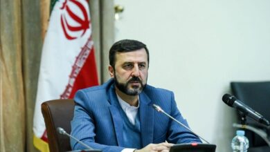 غریب‌آبادی: نشست سه‌جانبه ایران، چین و روسیه ثمربخش و سازنده بود