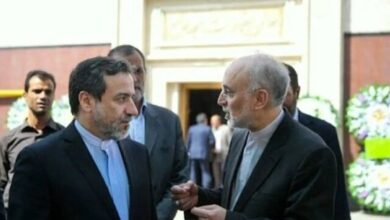 رییس پیشین سازمان انرژی اتمی: همه ما در کنار دکتر عراقچی سرباز ایران خواهیم ماند