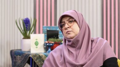 مهاجرانی: مذاکره مطلوب ایران گفت‌وگوی دقیق و بدون هیاهو است
