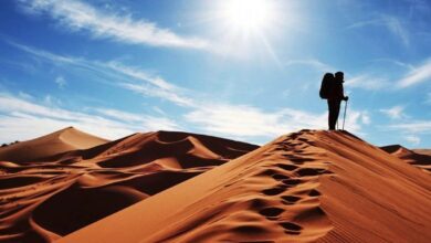 مرگ معمایی «مصطفی فرشی» پزشک اطفال در کویر (+عکس)