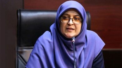 مهاجرانی: دولت از افزایش قیمت دلار سود نمی‌برد