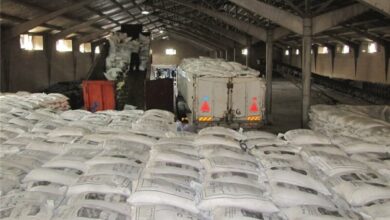 جزئیات جدید از اختلاس برنجی در کرمان (+عکس)